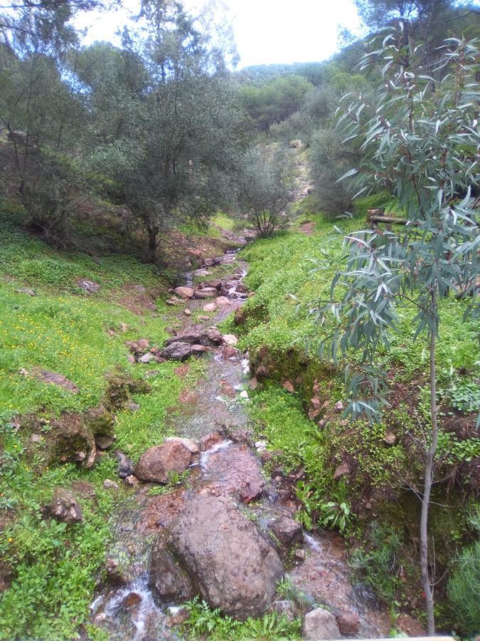 Casa Rural La Barandilla Pension Villafranca de Córdoba Buitenkant foto